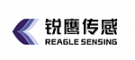 REAGLE SENSING